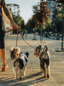 roxbury-2 Lorem ipsum dolor sit amet